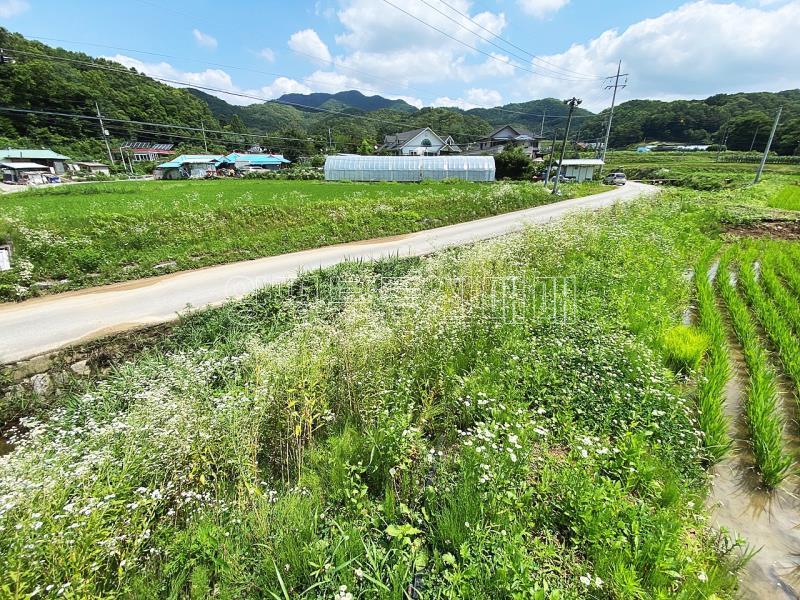 양평군 양서면 도곡리 농지_16